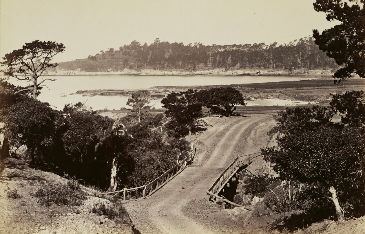 [Vue de la côte près de Monterey] - Carleton Watkins