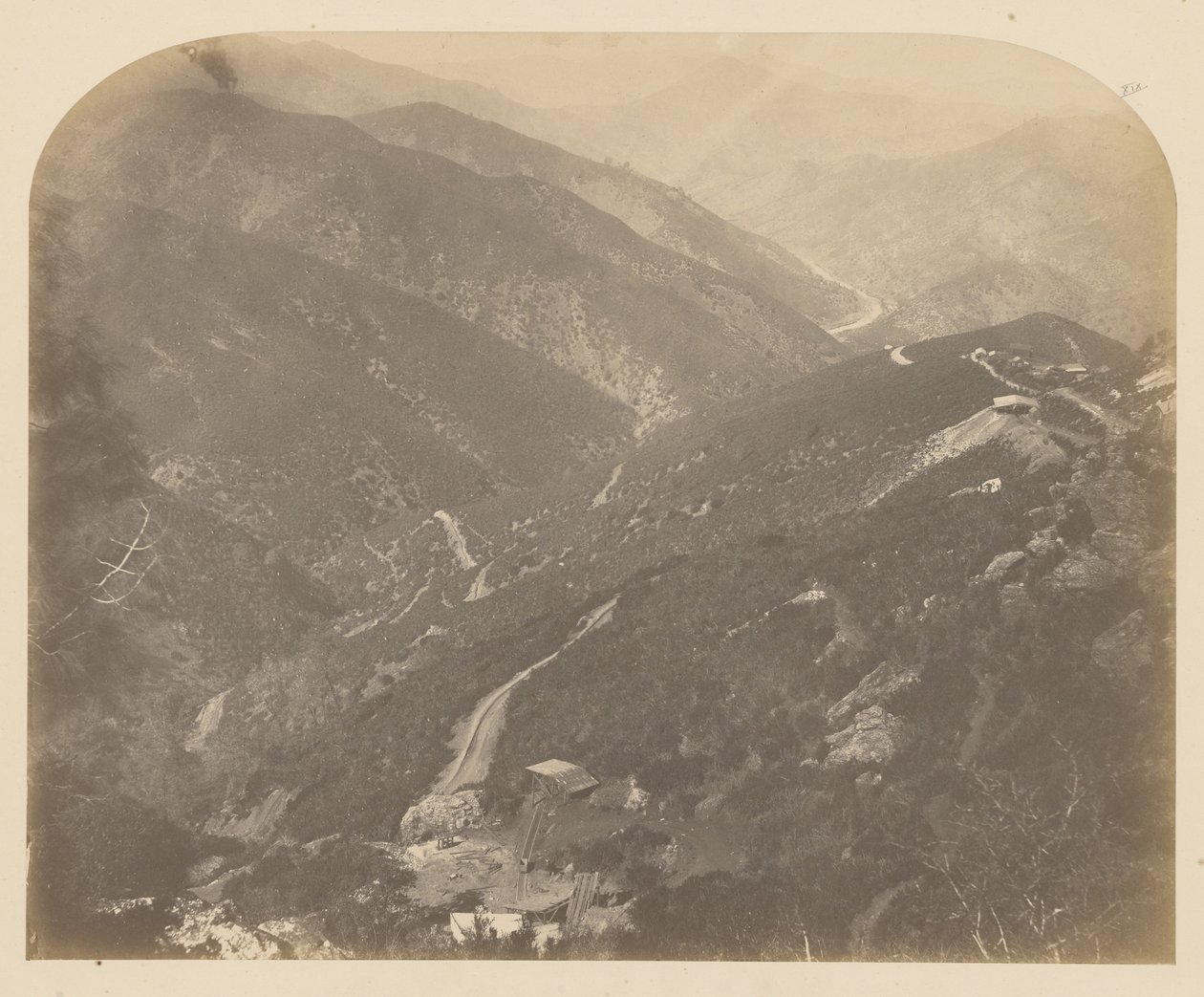 [Joséphine et Pin] - Carleton Watkins