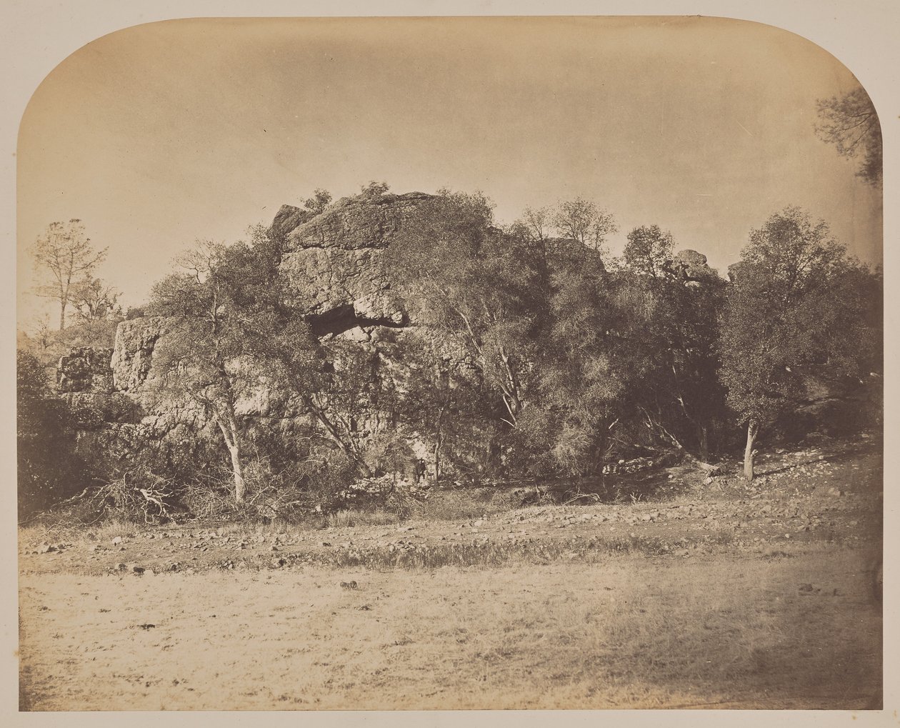 [Tower Rock - West] - Carleton Watkins