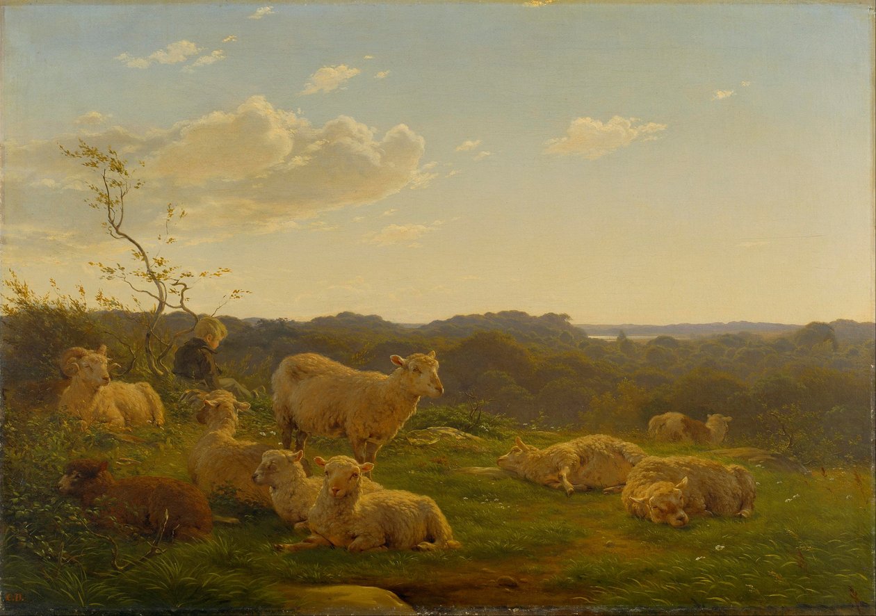 Moutons sur une colline près de Skarridsø. - Carlo Dalgas