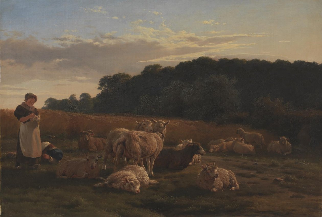 Un troupeau de moutons. Motif de la forêt de Faxinge près de Nysø - Carlo Dalgas