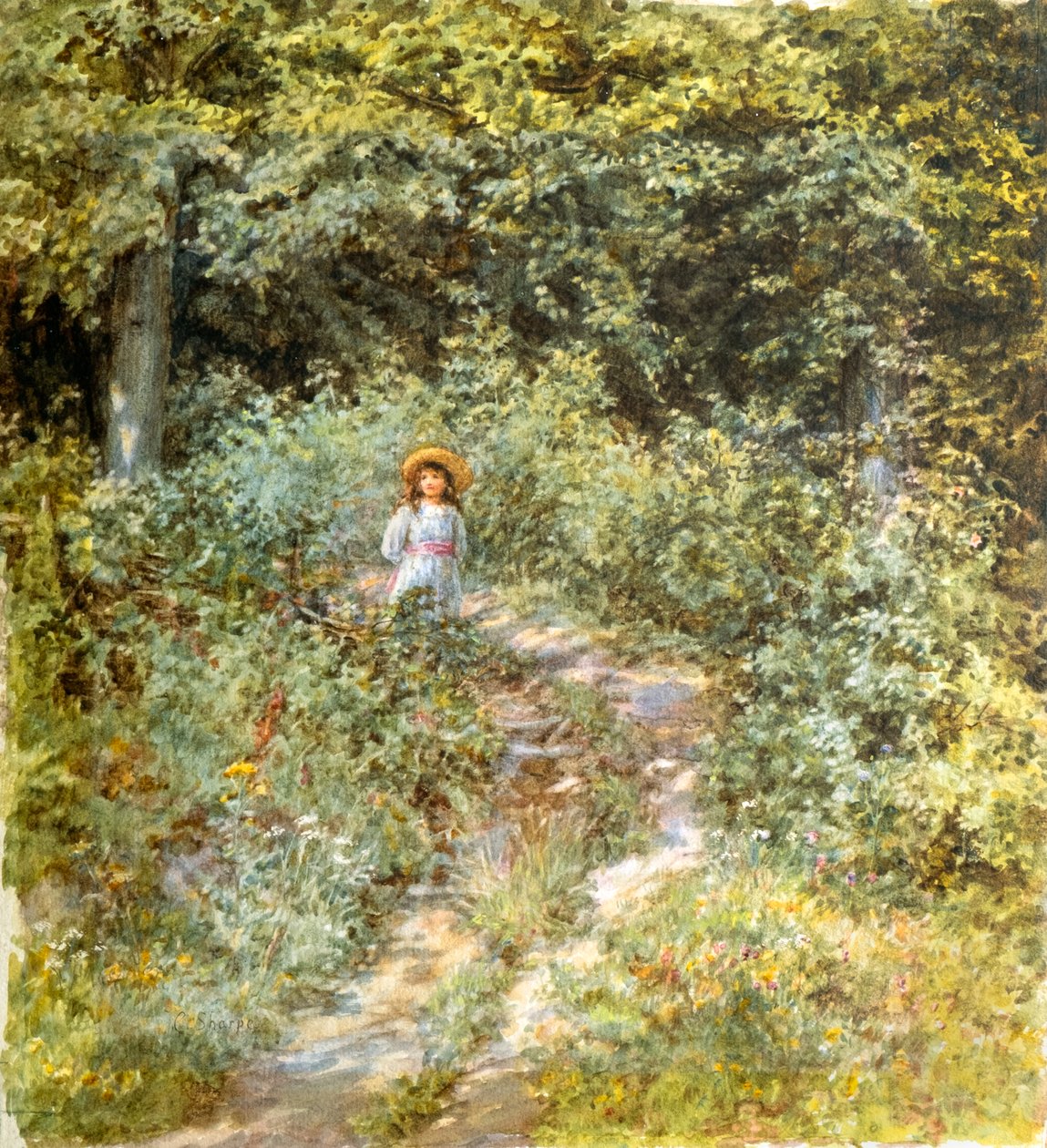 Le chemin à travers le bois - Caroline Paterson