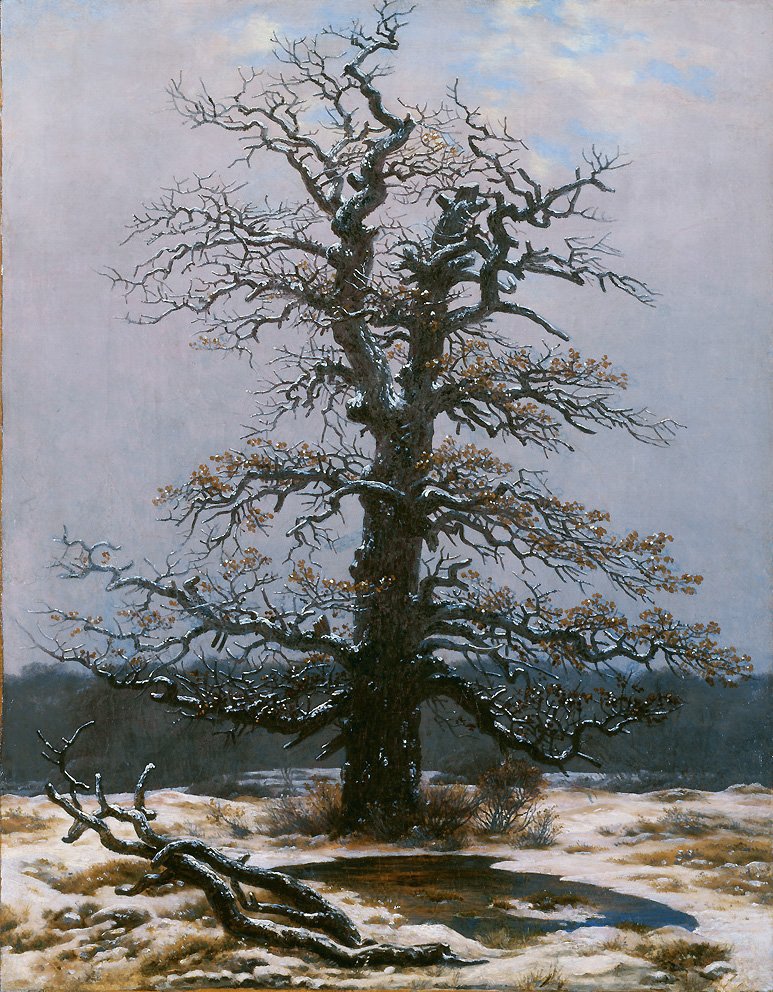 Chêne dans la neige - Caspar David Friedrich