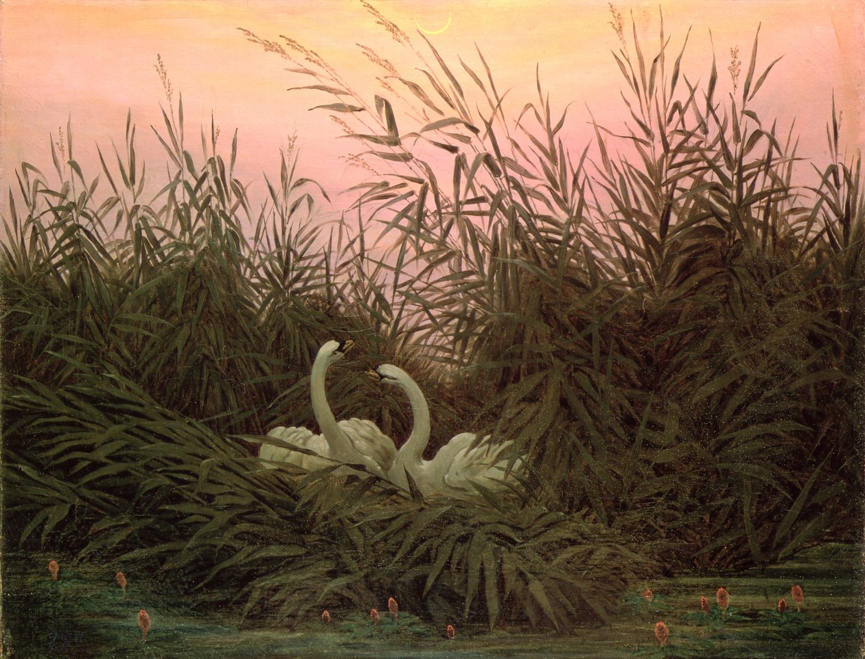 Cygnes dans les roseaux, vers 1820 - Caspar David Friedrich