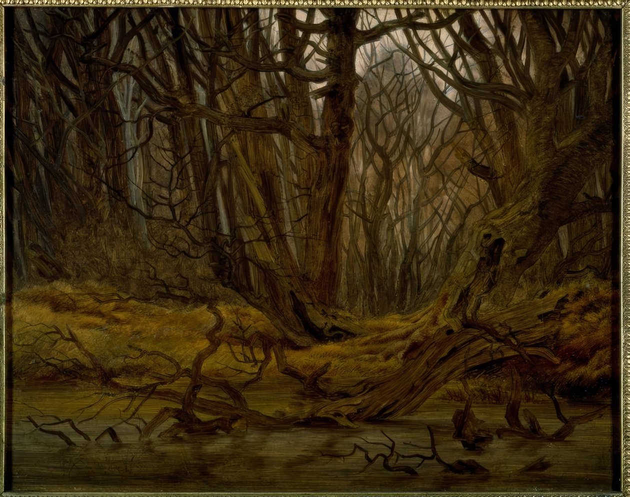 Forêt en fin d