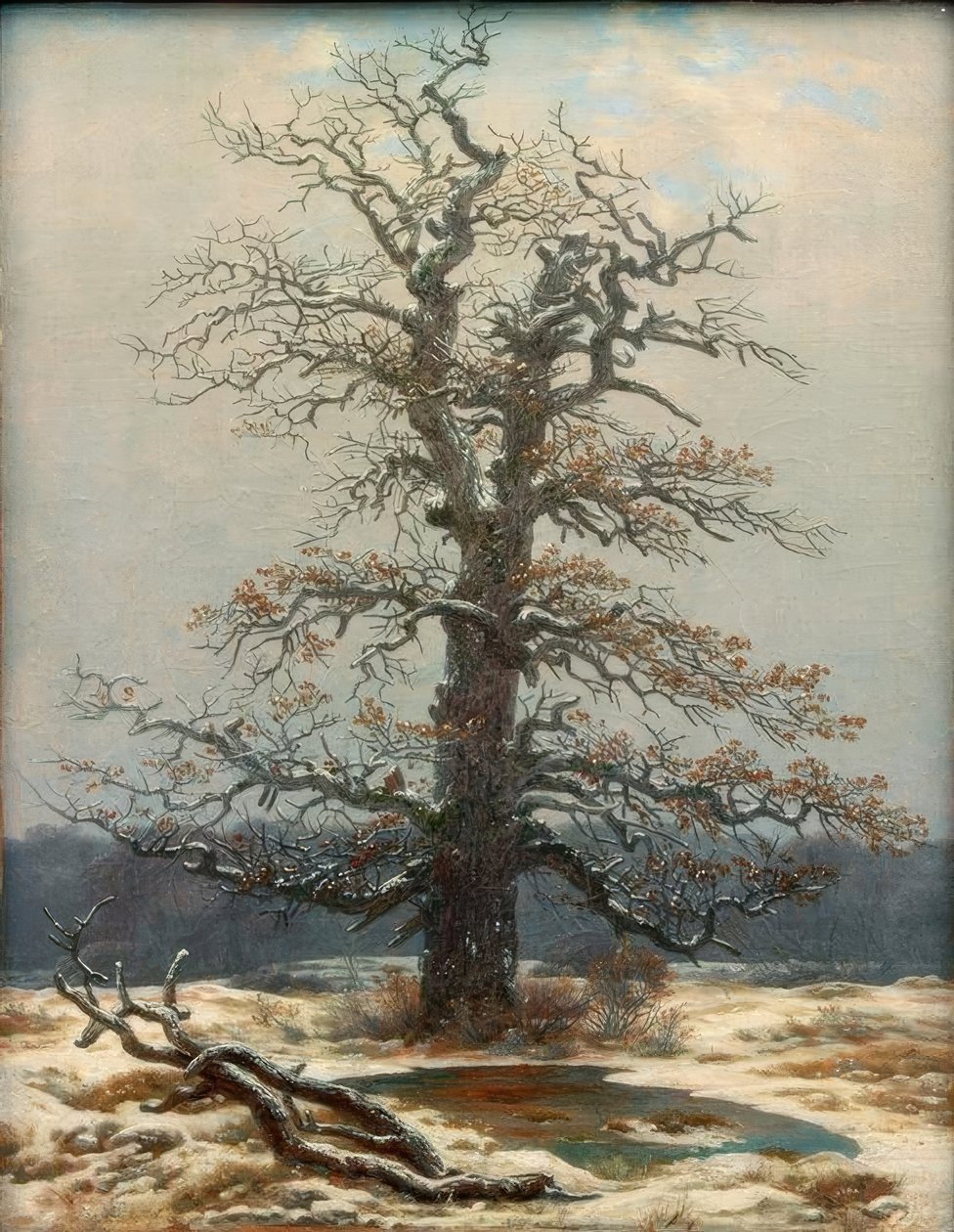 Chêne dans la neige - Caspar David Friedrich