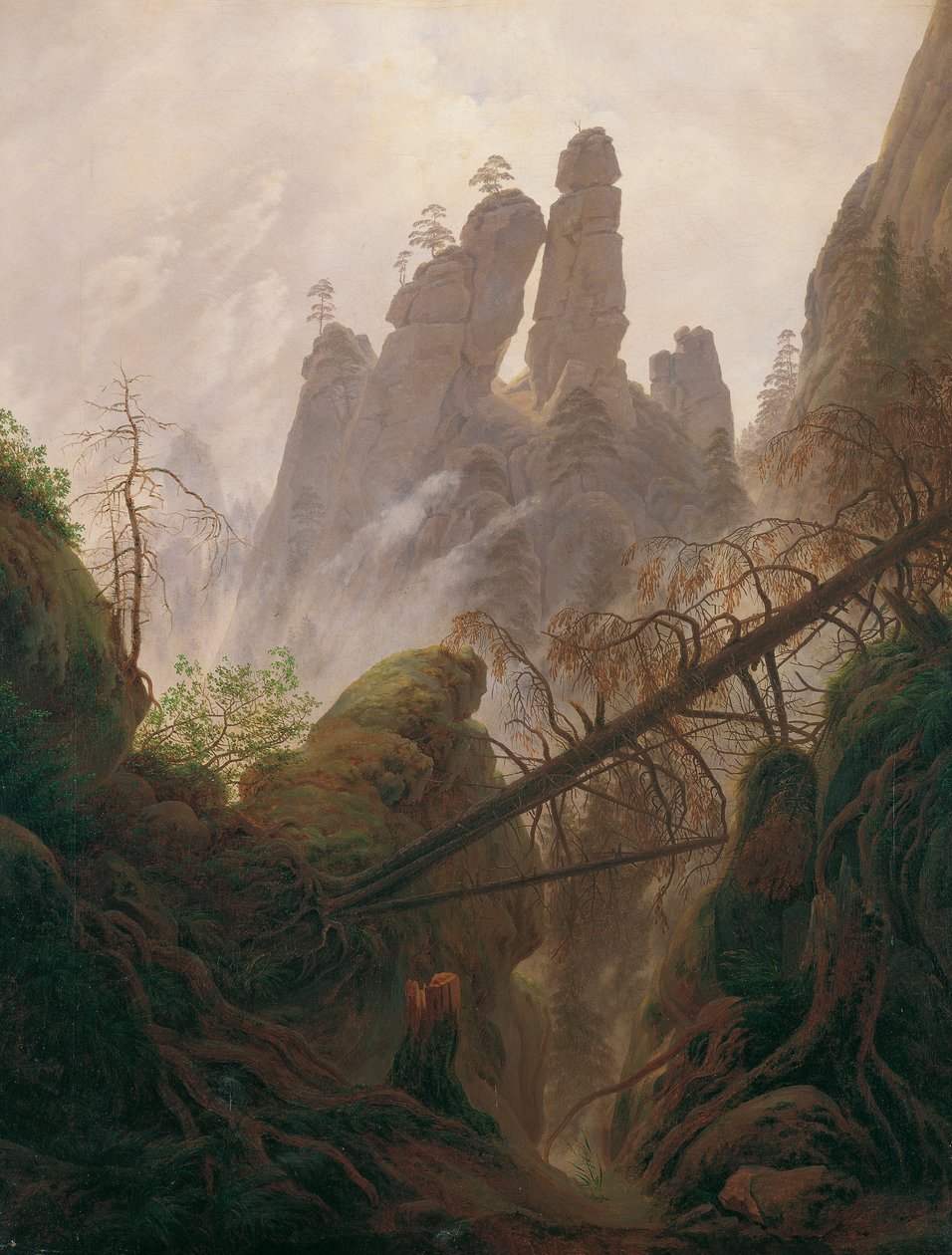 Paysage rocheux dans le massif de grès de l