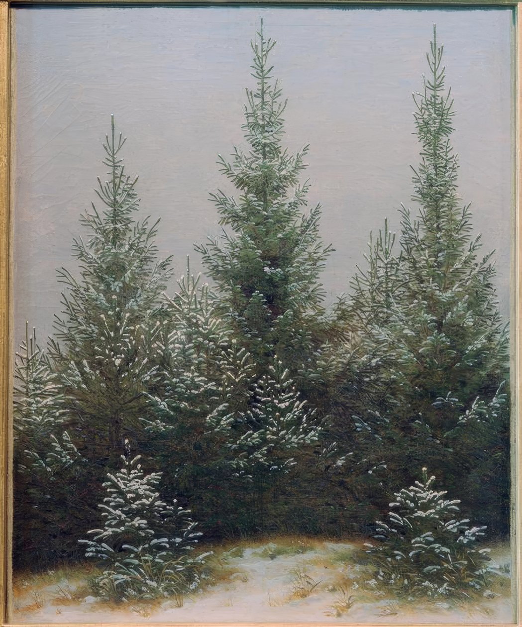 Forêt de sapins dans la neige - Caspar David Friedrich