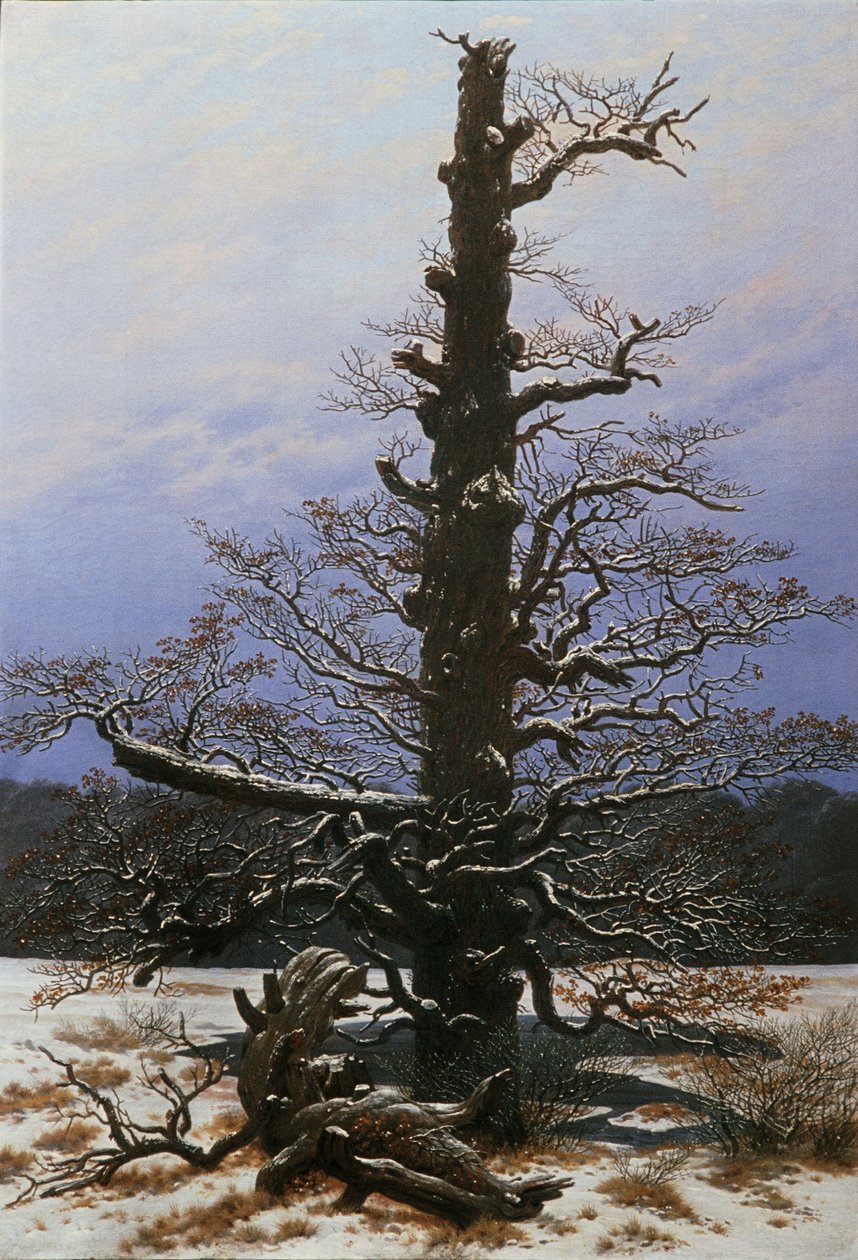 Chêne dans la neige - Caspar David Friedrich