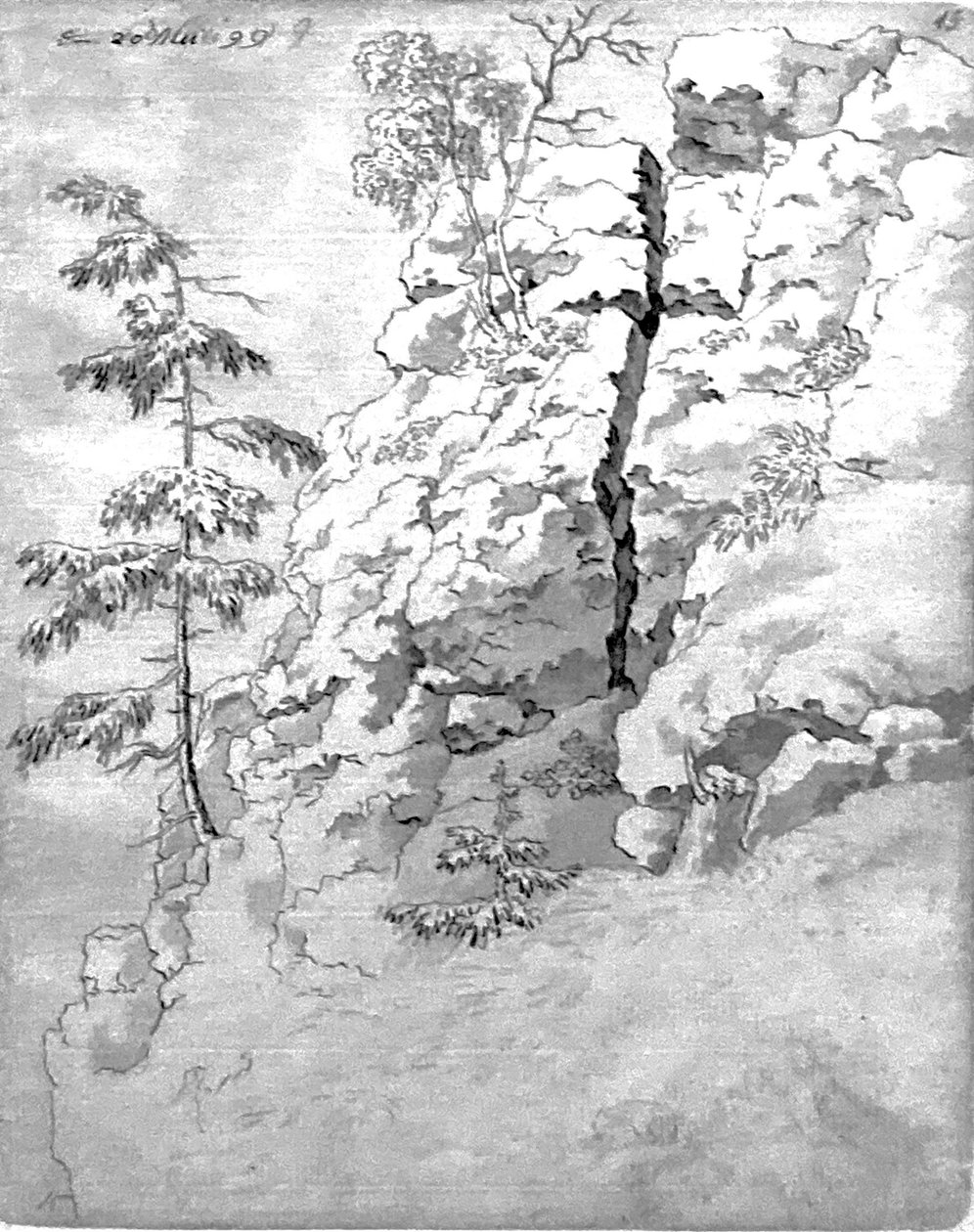 Pente rocheuse avec arbres - Caspar David Friedrich