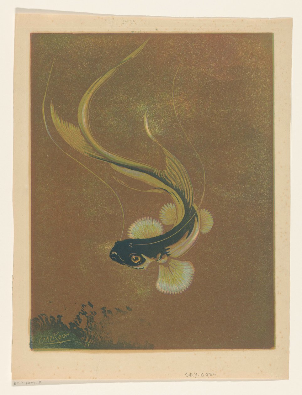 Poisson nageant - Casper M.L. Kouw