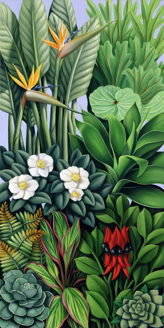 Feuillage II - Catherine Abel