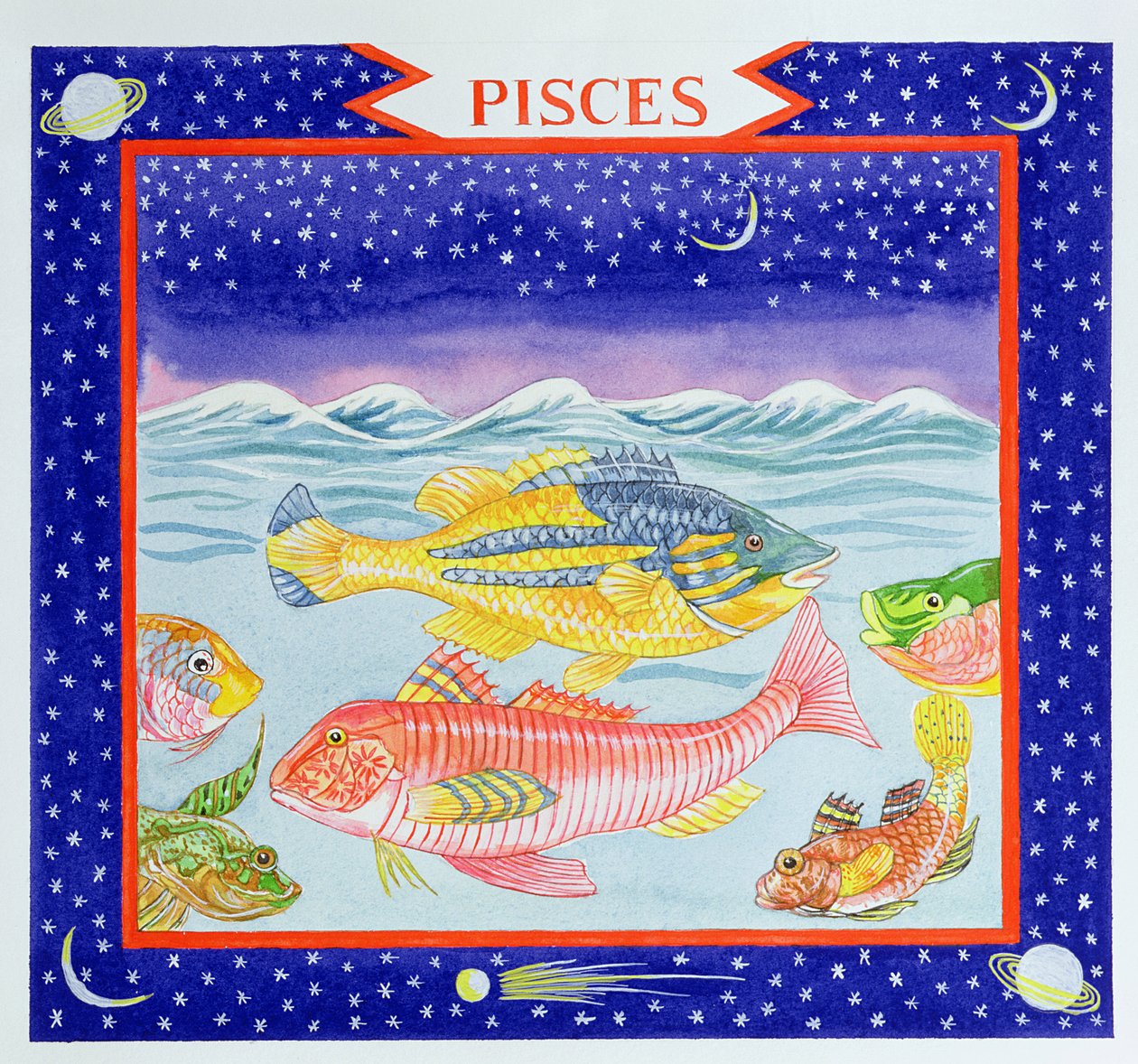 Poissons - Catherine Bradbury