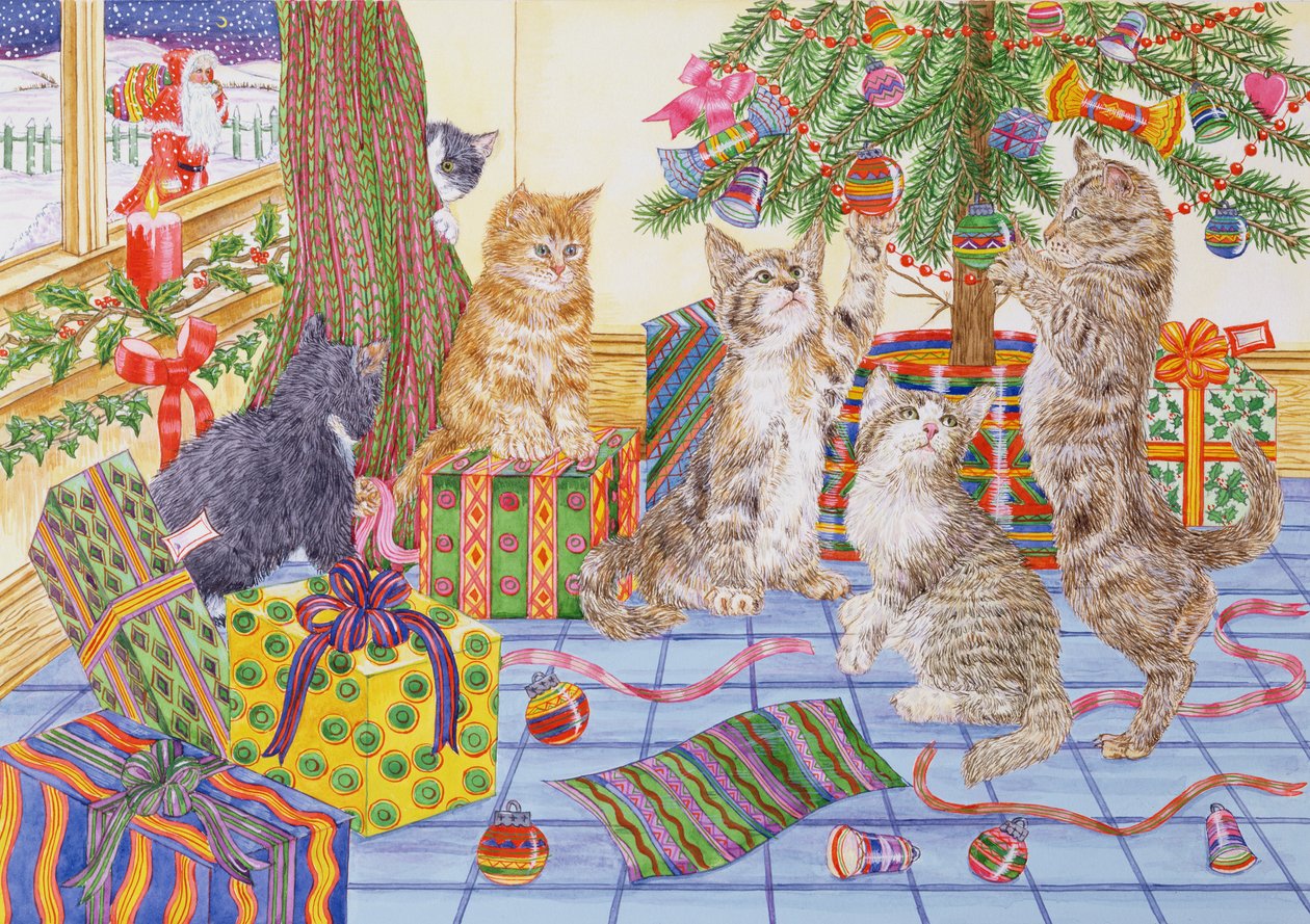 Le Noël des chats - Catherine Bradbury