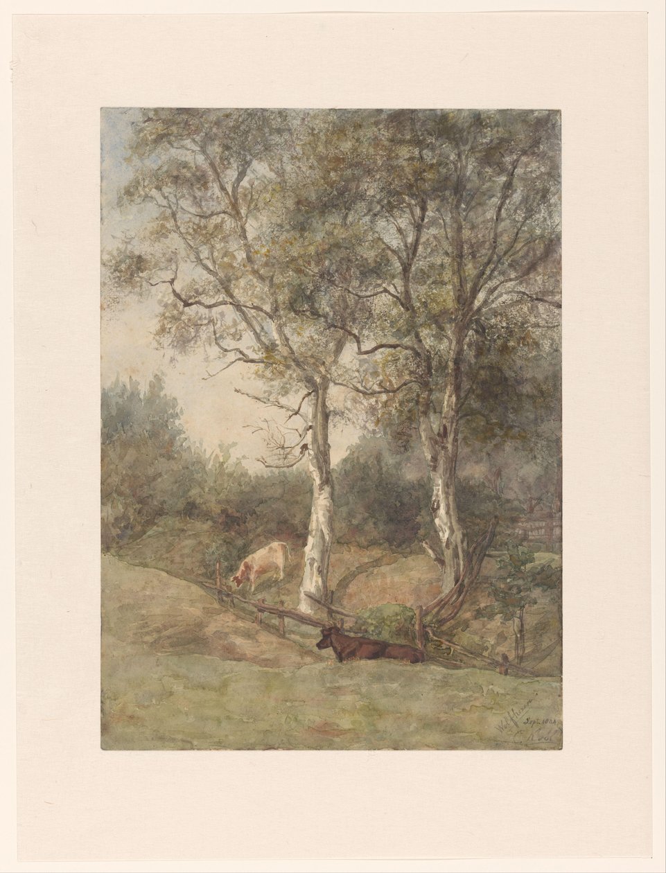 Paysage forestier avec des vaches, près de Wolfheze - Cato Kool