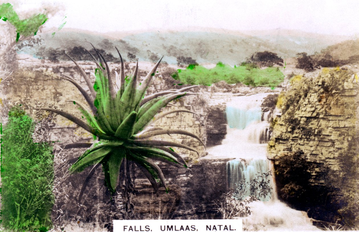 Chutes d