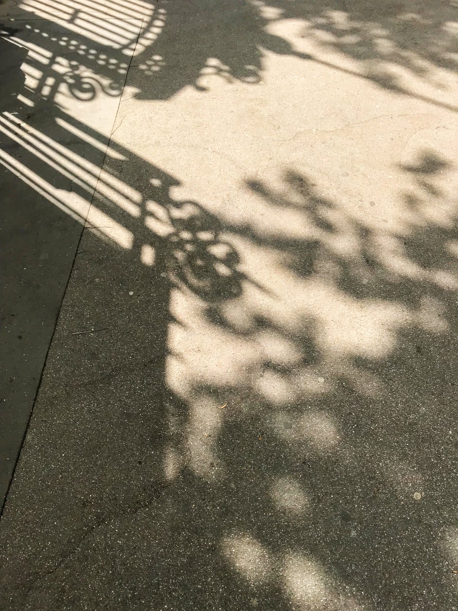 Composition - Shadows, 2019 (photo) - Cécile Jamet