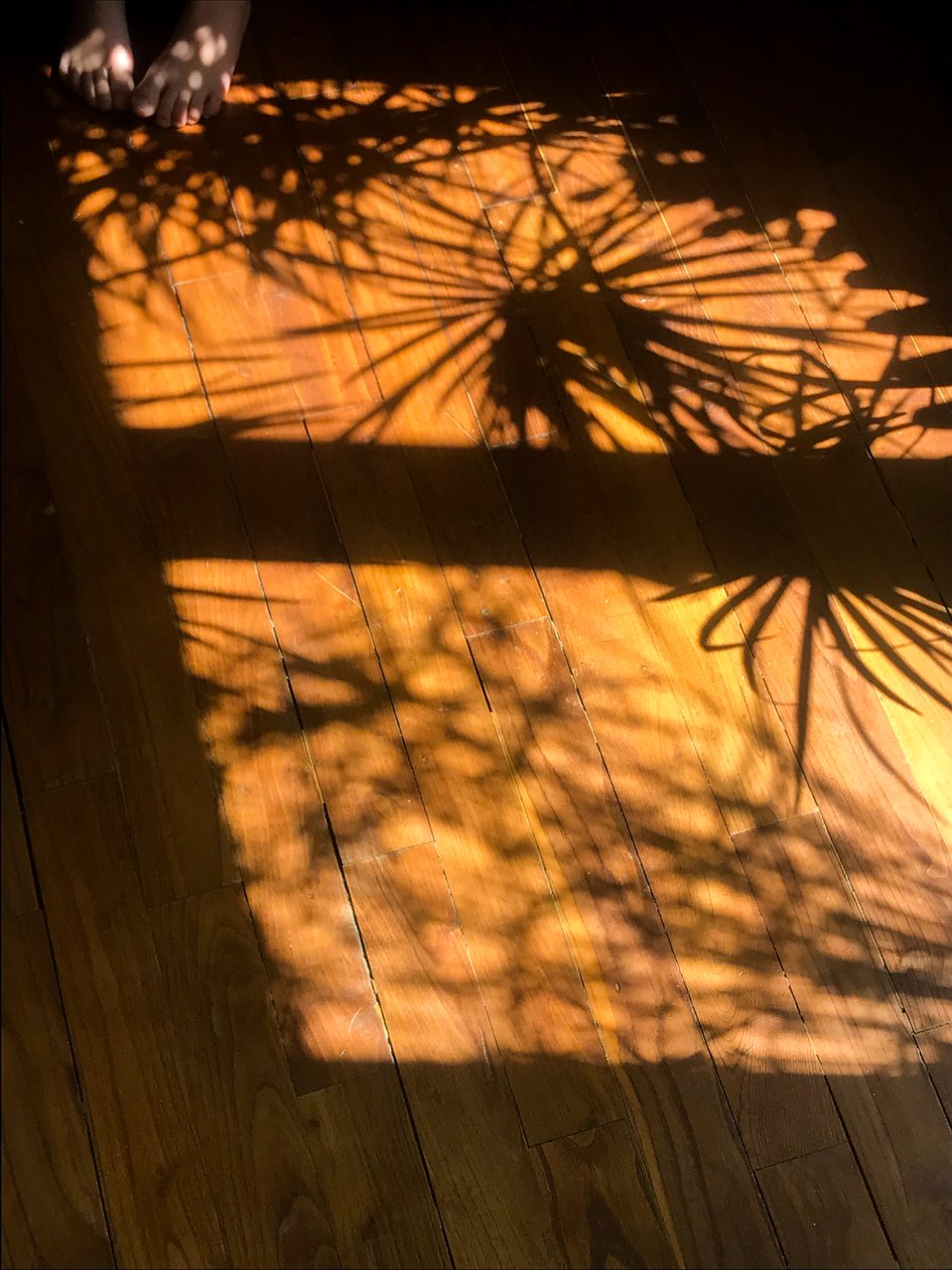 Composition - Shadows, 2019 (photo) - Cécile Jamet