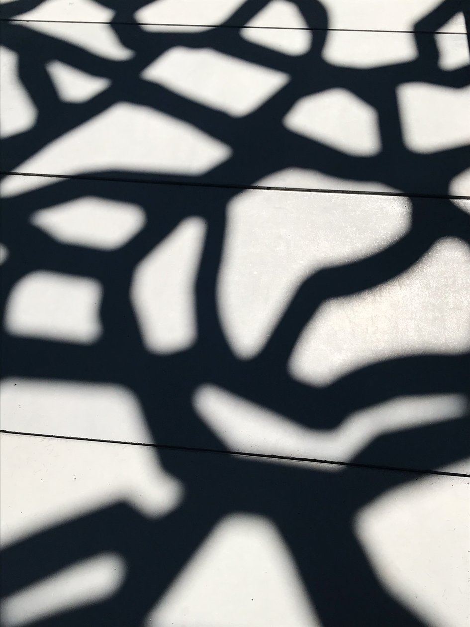 Composition - Shadows, 2021 (photo) - Cécile Jamet