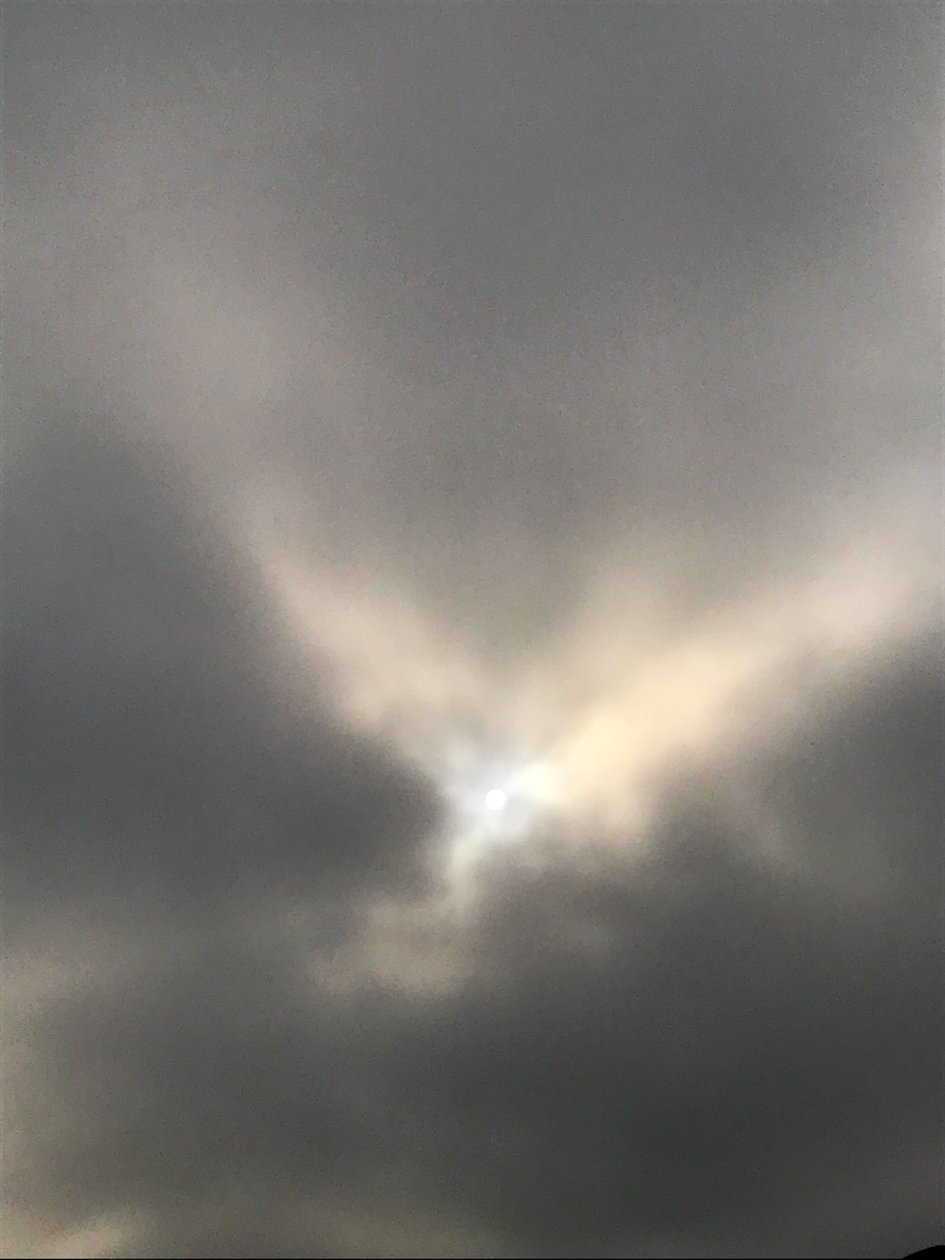 Composition - Sky, 2019 (photo) - Cécile Jamet