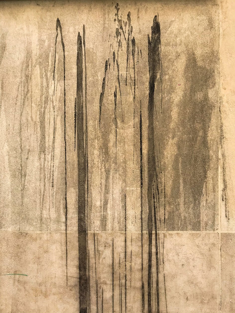 Composition - Texture, 2020 (photo) - Cécile Jamet