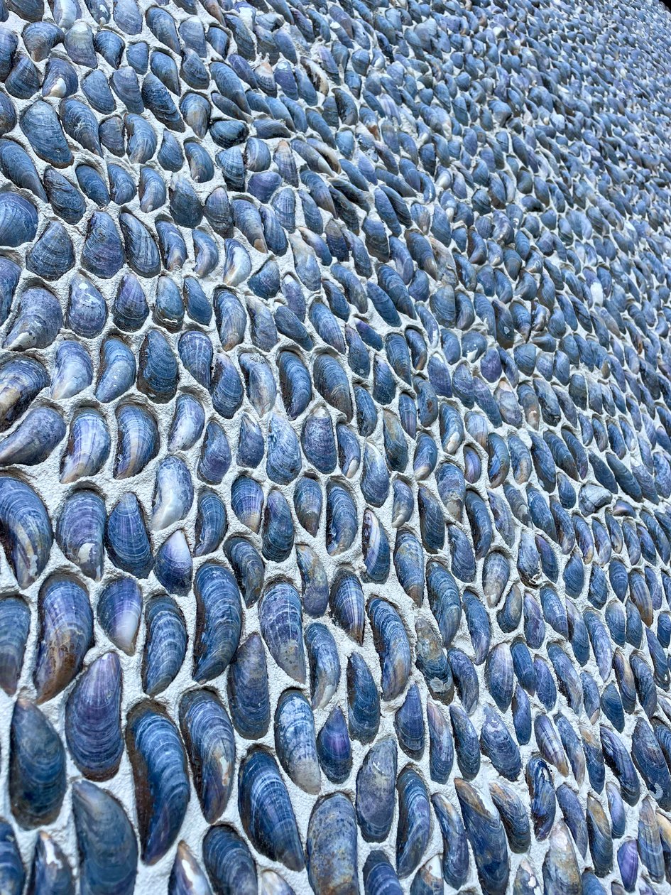 Composition - Texture, 2024 (photo) - Cécile Jamet