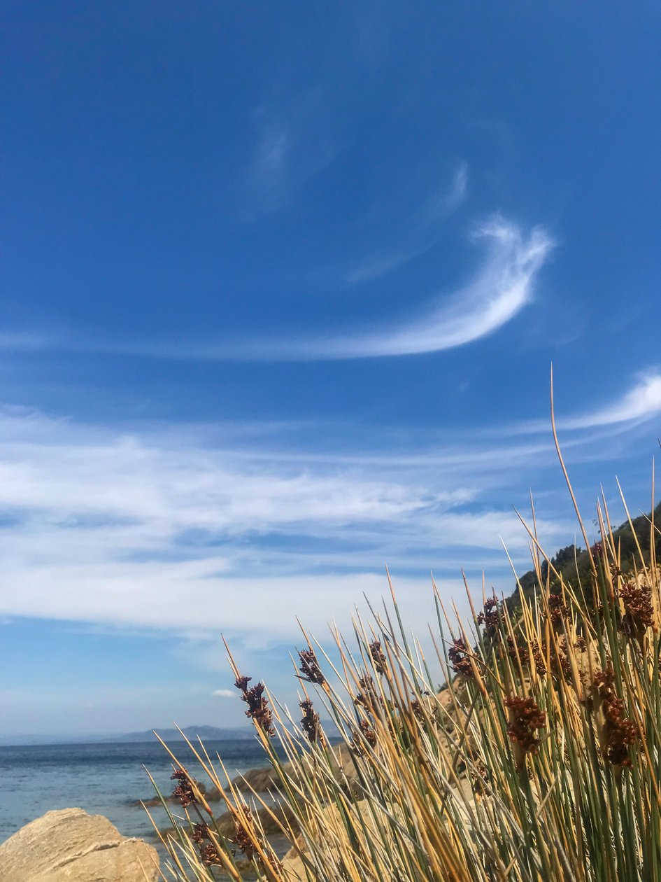 Paysage - Ciel et mer, 2019 (photo) - Cécile Jamet