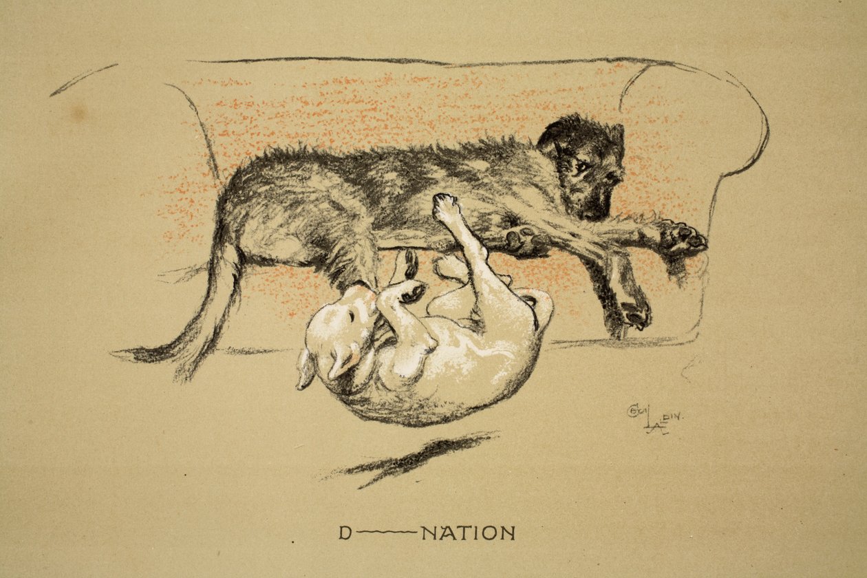 D--nation, 1930, 1ère édition de 