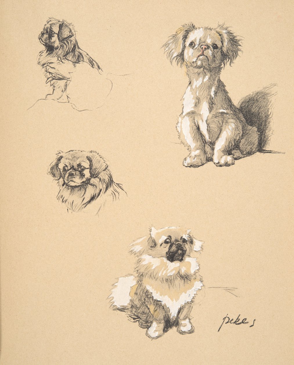 Pekes, 1930, Illustrations de son carnet de croquis utilisé pour 