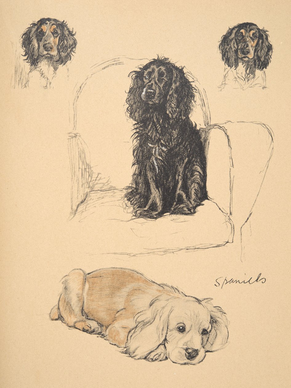 Épagneuls, 1930, illustrations de son carnet de croquis utilisé pour 