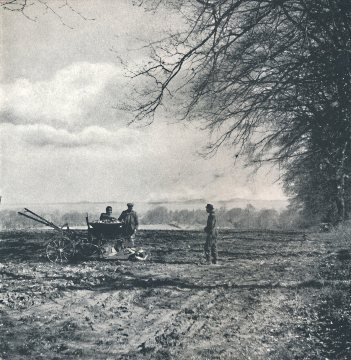 Loin vers le champ et le sillon, 1941 - Cecil Beaton