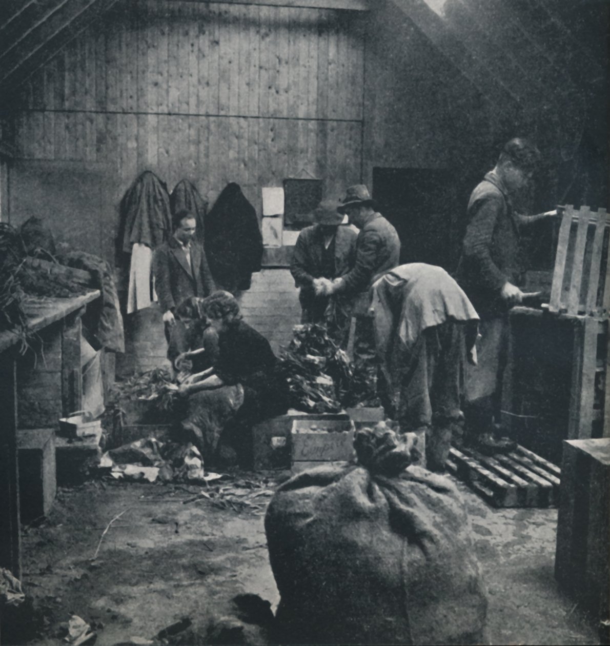 Légumes pour le marché, 1941 - Cecil Beaton