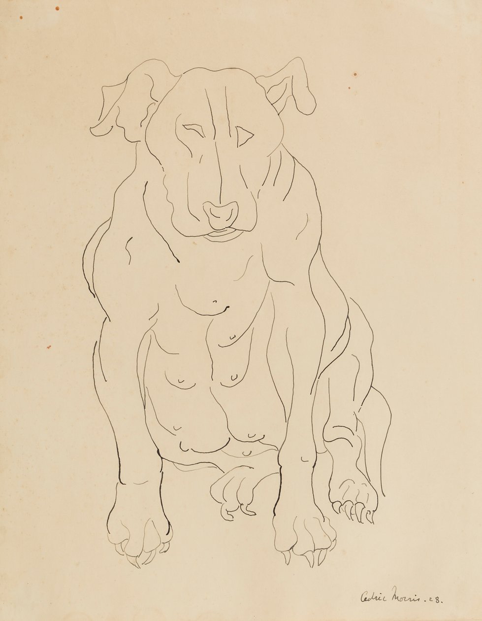 Le bouledogue de Nancy Morris - Cedric Morris