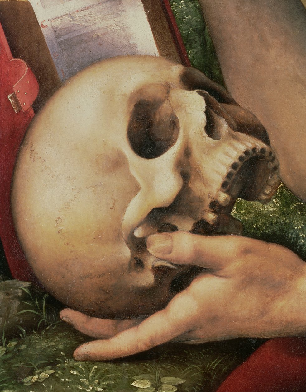 Saint Jérôme, détail du crâne (détail) - Cesare da Sesto
