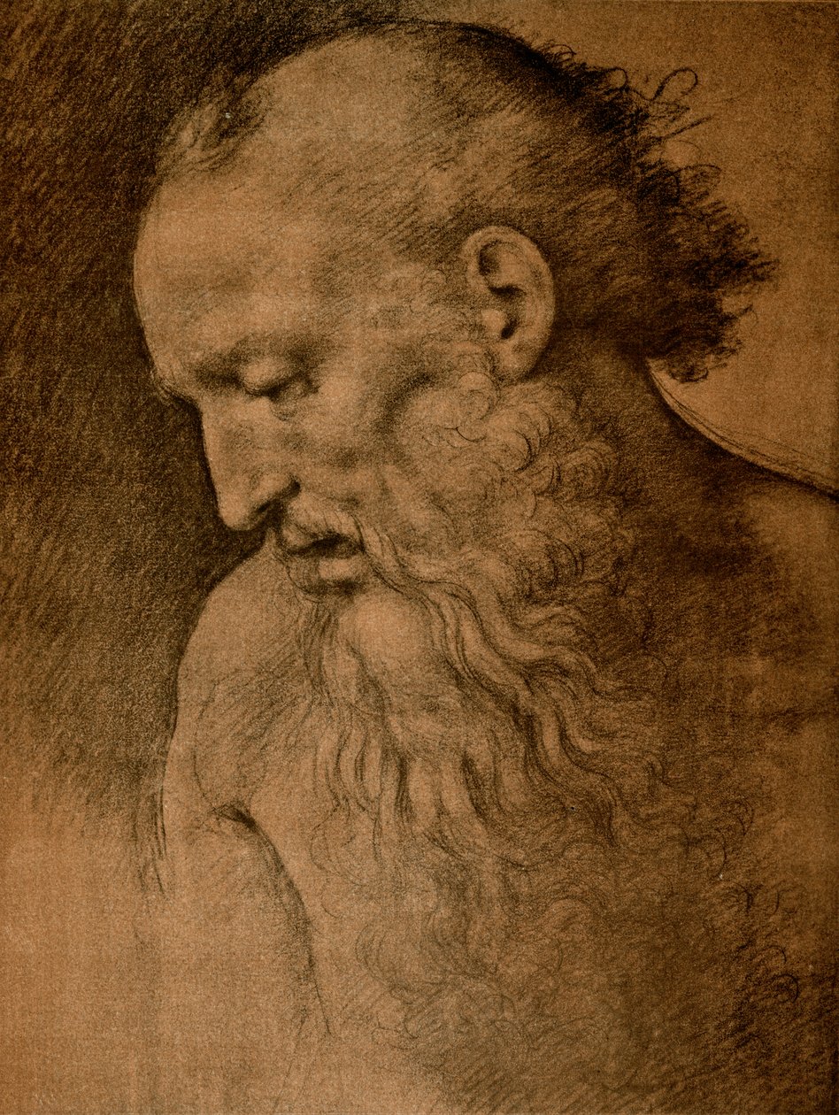 Tête de Saint Jérôme - Cesare da Sesto