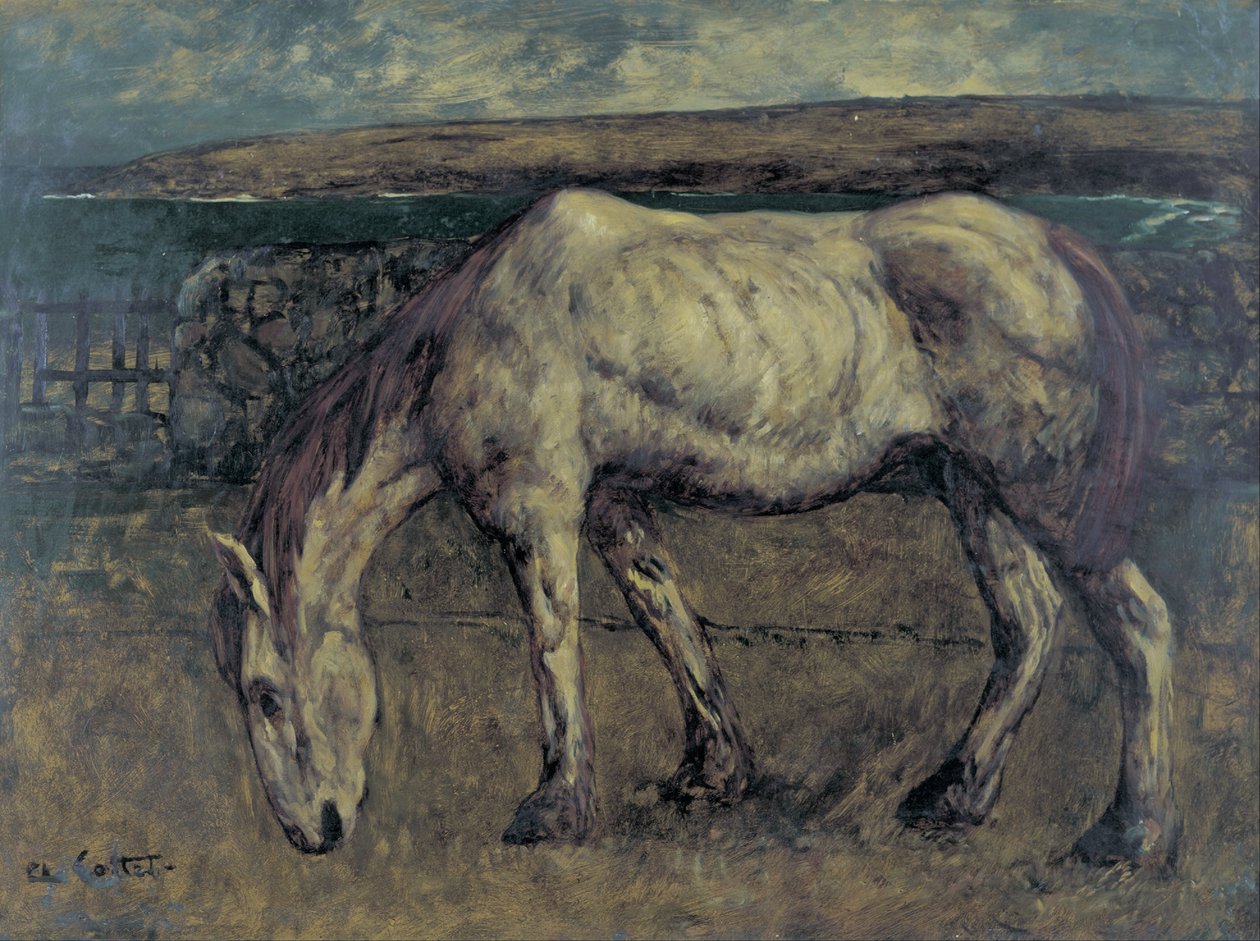 Vieux cheval dans le désert - Charles Cottet