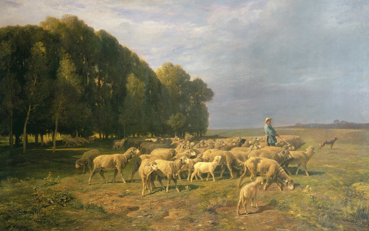 Troupeau de moutons dans un paysage - Charles Emile Jacque