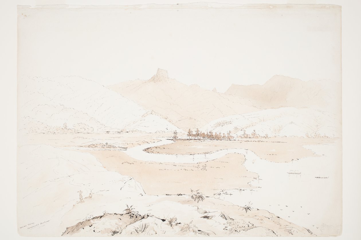 Vallée de Waiau, port de Coromandel - Charles Heaphy