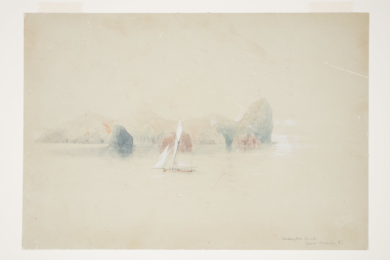 Wellington Head, Grande Barrière Id - Charles Heaphy