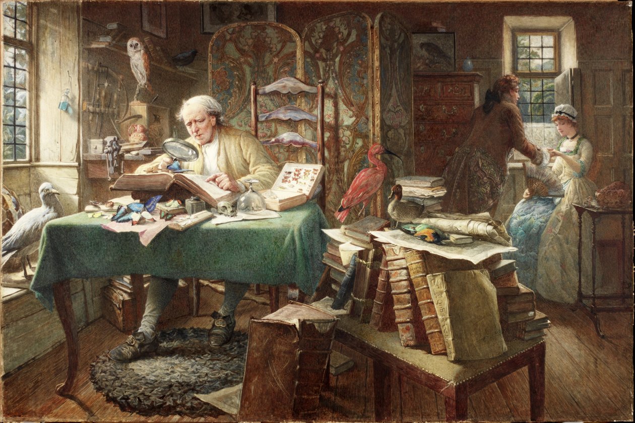 Larves et Papillons - Charles J. Staniland