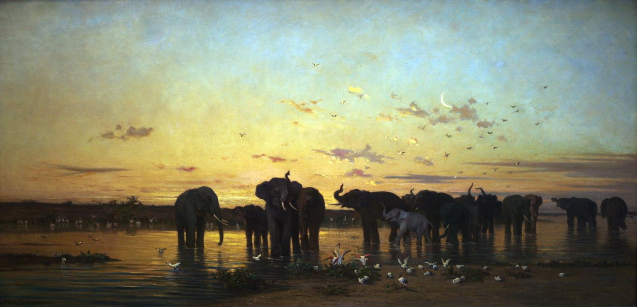 Éléphants d