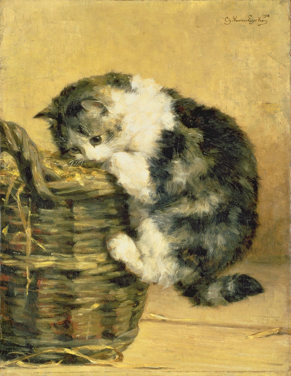 Chat avec un panier - Charles van den Eycken