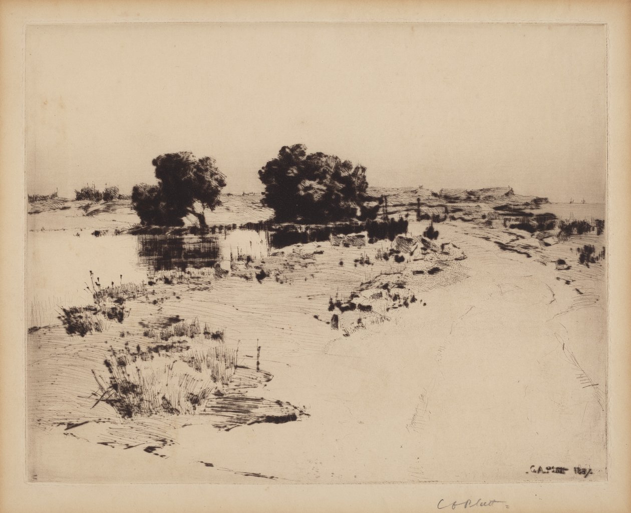 Saules du Cap Ann - Charles A. Platt