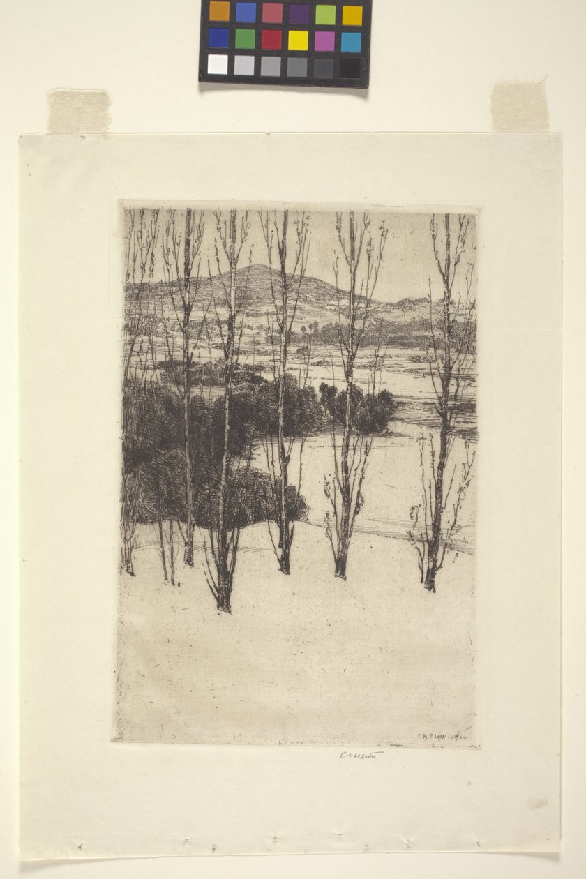 La montagne - Charles Adams Platt