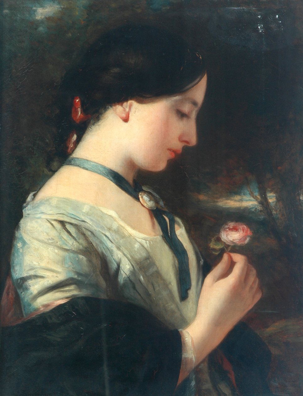 Une rose anglaise - Charles Baxter