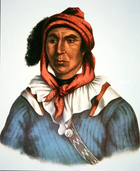 Julcee Mathla - Charles Bird King