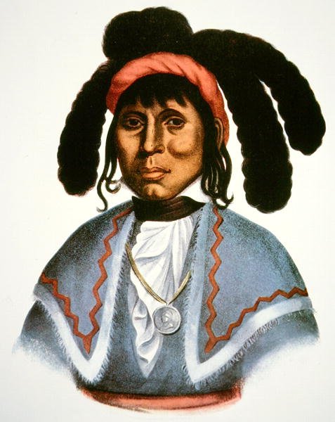 Micanopy (d.1849) c.1826 - Charles Bird King