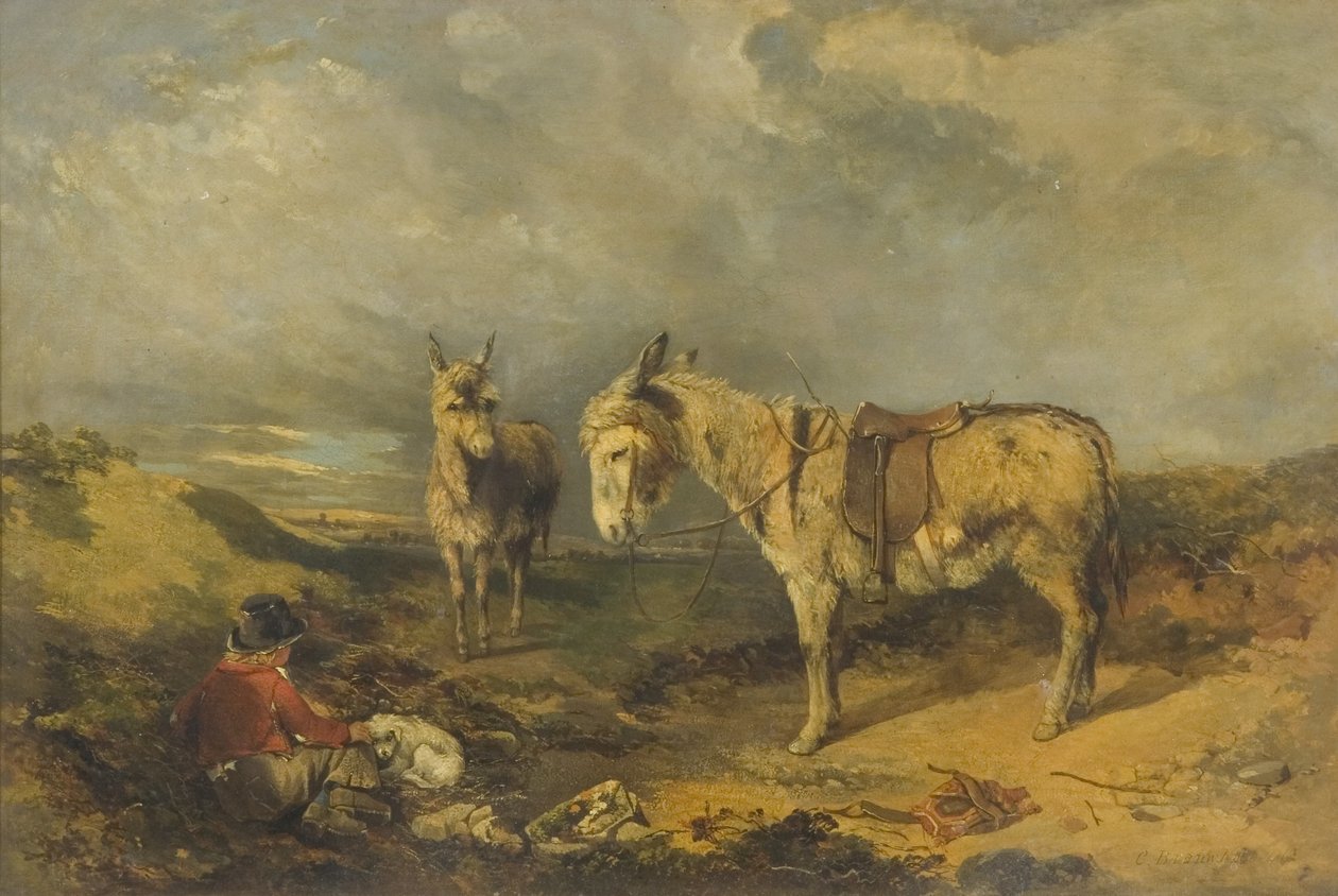 Deux ânes - Charles Branwhite