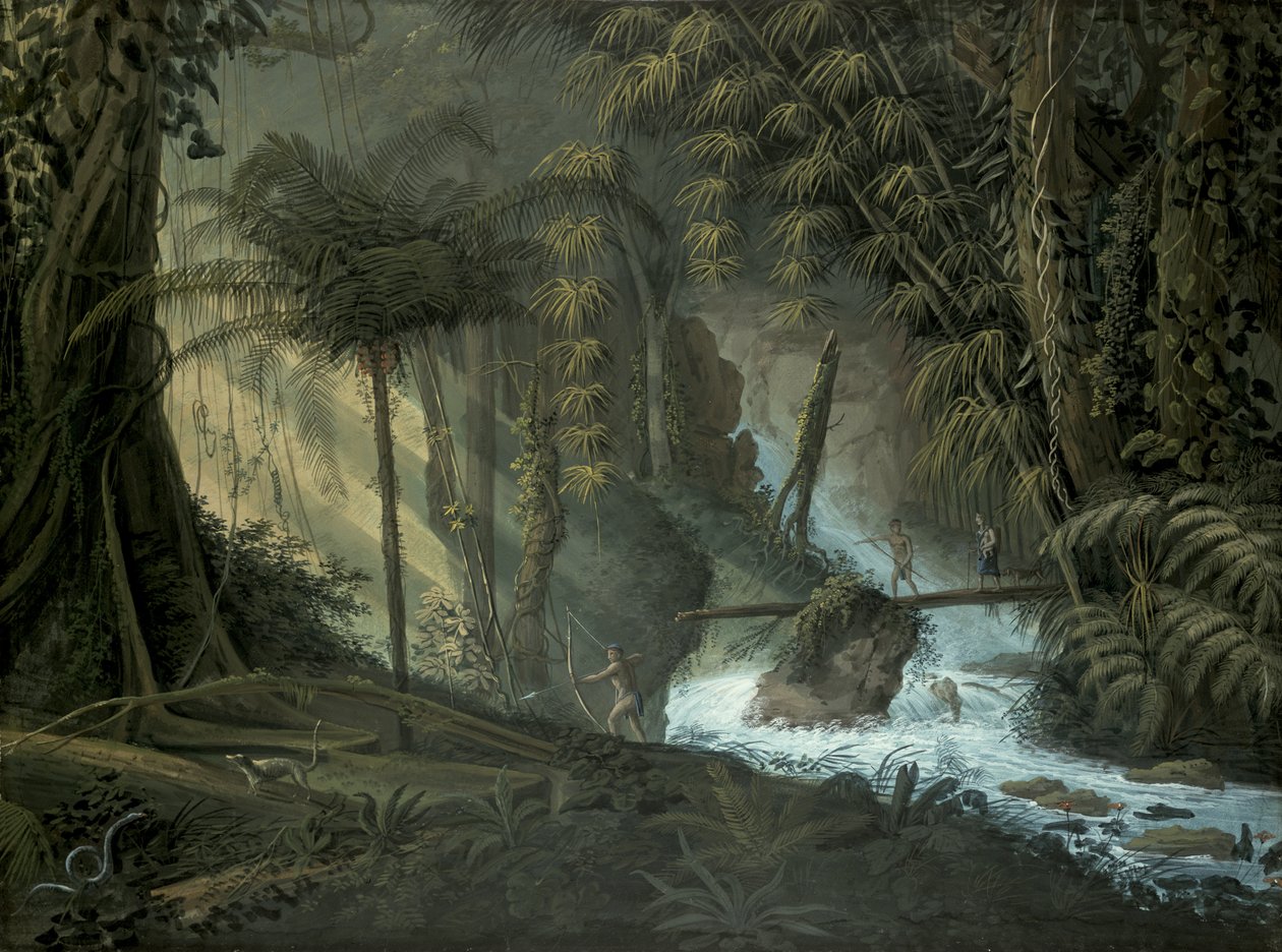 Forêt brésilienne - Charles Comte de Clarac