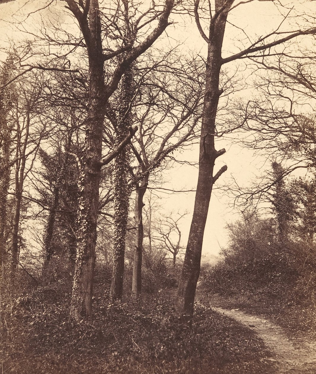 Hiver, 1855 - Charles Conway
